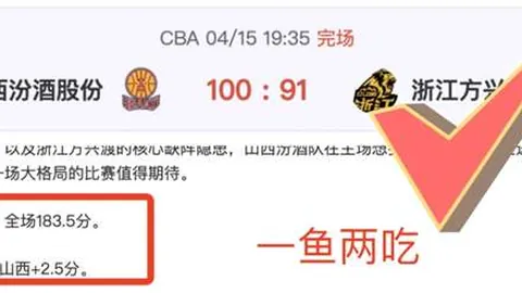 “10月23日NBA焦点战：森林狼对阵八村塁亮点回顾”